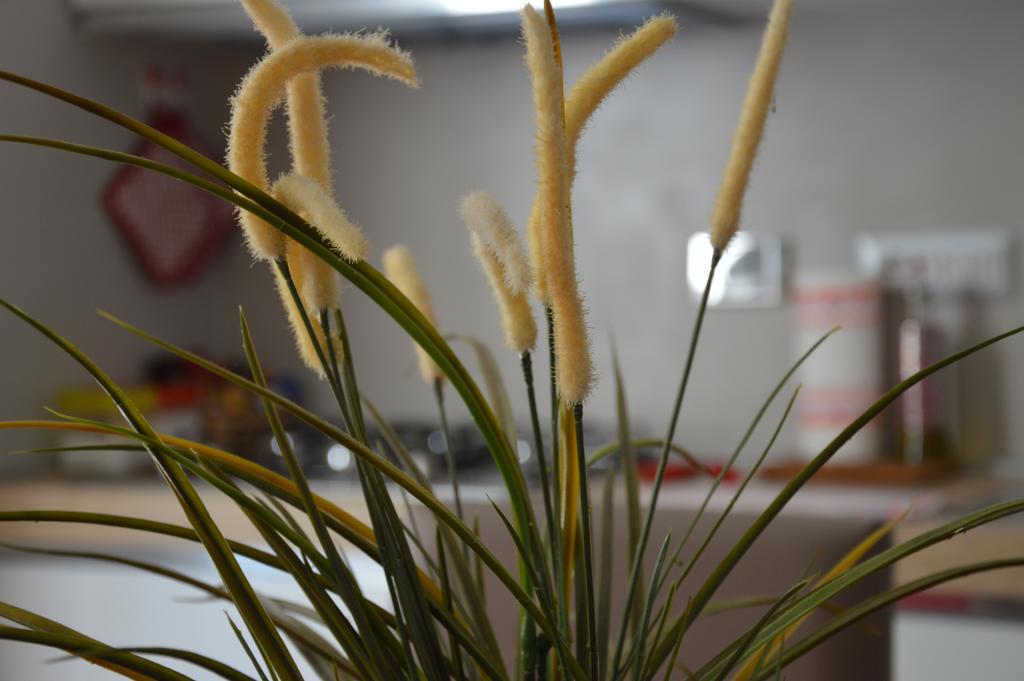 רומא Luxury Apartment In Rattazzi מראה חיצוני תמונה